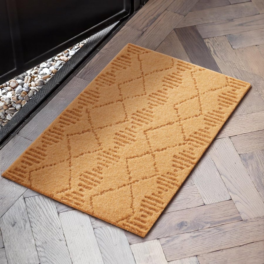 TYUU Front Door Mat Indoor Outside Entrance